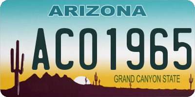 AZ license plate ACO1965