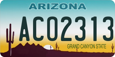 AZ license plate ACO2313