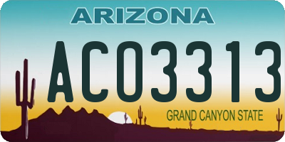 AZ license plate ACO3313
