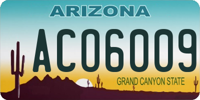 AZ license plate ACO6009