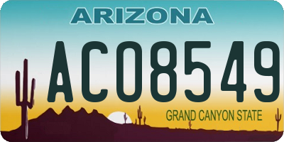 AZ license plate ACO8549