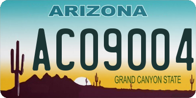 AZ license plate ACO9004