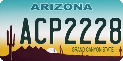 AZ license plate ACP2228