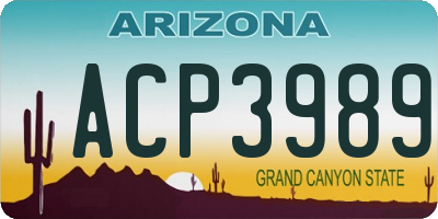 AZ license plate ACP3989