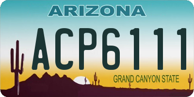 AZ license plate ACP6111