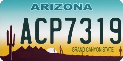 AZ license plate ACP7319