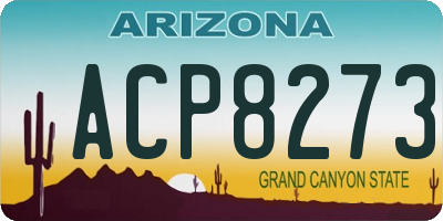 AZ license plate ACP8273