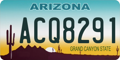 AZ license plate ACQ8291