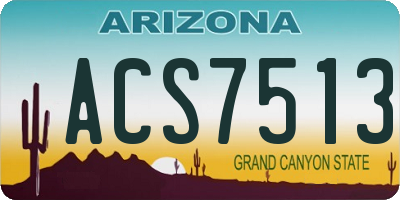 AZ license plate ACS7513