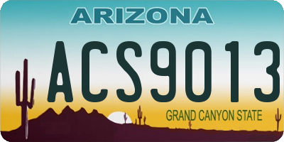 AZ license plate ACS9013