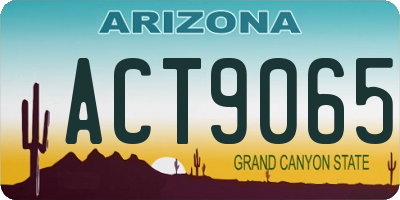 AZ license plate ACT9065