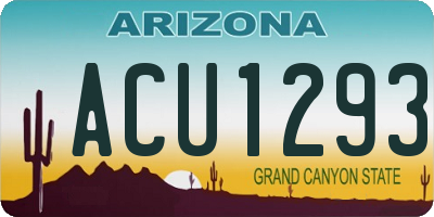 AZ license plate ACU1293