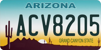 AZ license plate ACV8205