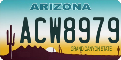 AZ license plate ACW8979