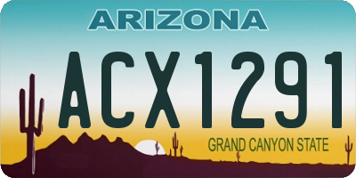 AZ license plate ACX1291