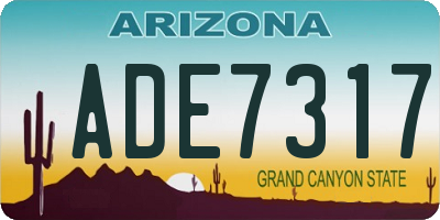 AZ license plate ADE7317