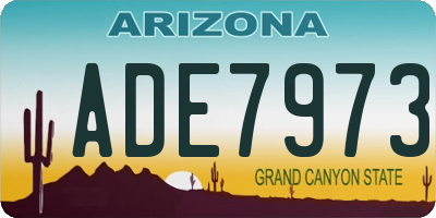 AZ license plate ADE7973