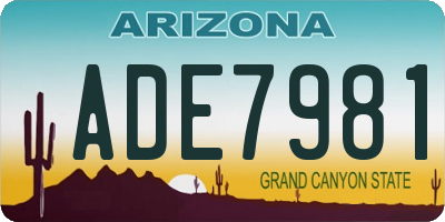 AZ license plate ADE7981