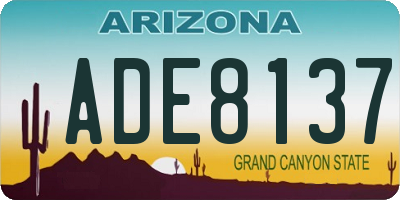 AZ license plate ADE8137