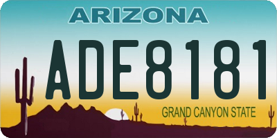 AZ license plate ADE8181