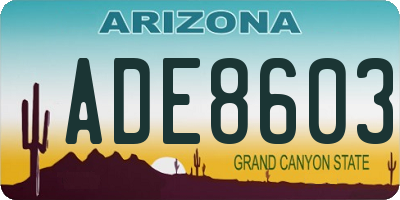 AZ license plate ADE8603