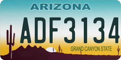 AZ license plate ADF3134