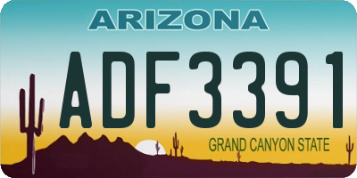 AZ license plate ADF3391