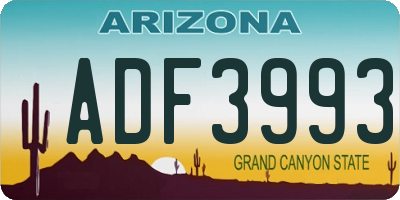AZ license plate ADF3993
