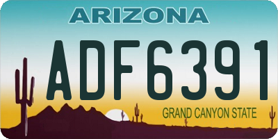 AZ license plate ADF6391