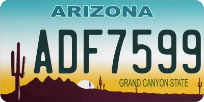 AZ license plate ADF7599