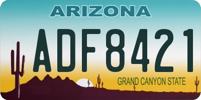 AZ license plate ADF8421
