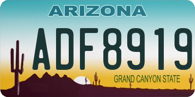 AZ license plate ADF8919