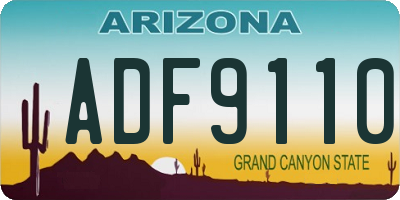 AZ license plate ADF9110