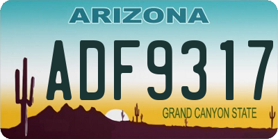 AZ license plate ADF9317