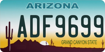 AZ license plate ADF9699