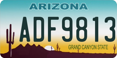 AZ license plate ADF9813