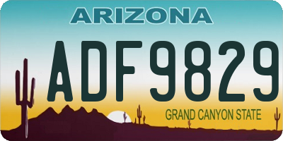 AZ license plate ADF9829