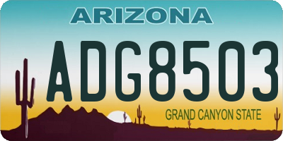 AZ license plate ADG8503