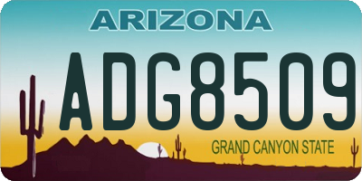 AZ license plate ADG8509