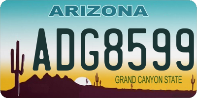 AZ license plate ADG8599