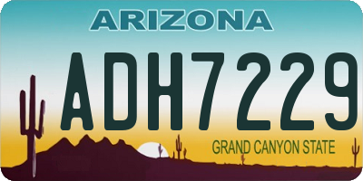 AZ license plate ADH7229