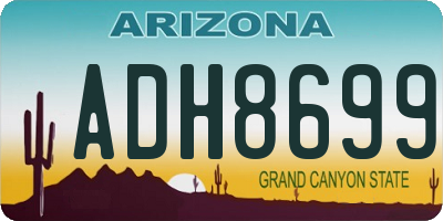 AZ license plate ADH8699