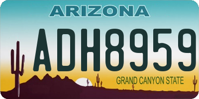 AZ license plate ADH8959