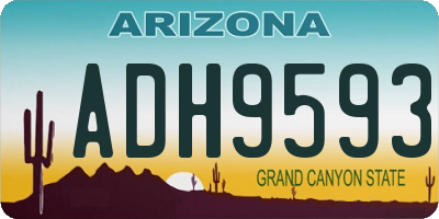 AZ license plate ADH9593