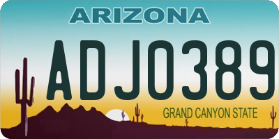 AZ license plate ADJ0389