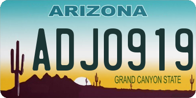 AZ license plate ADJ0919