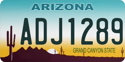 AZ license plate ADJ1289