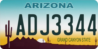 AZ license plate ADJ3344