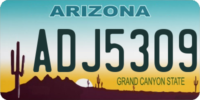 AZ license plate ADJ5309