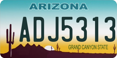 AZ license plate ADJ5313